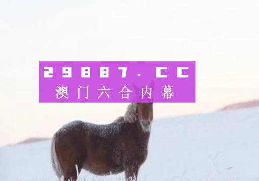 关于我们 第218页