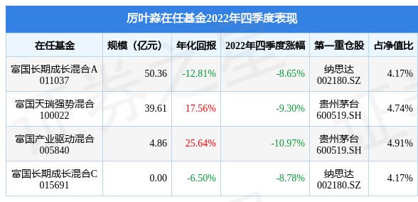 今日最新净值解读，100022基金净值查询详解